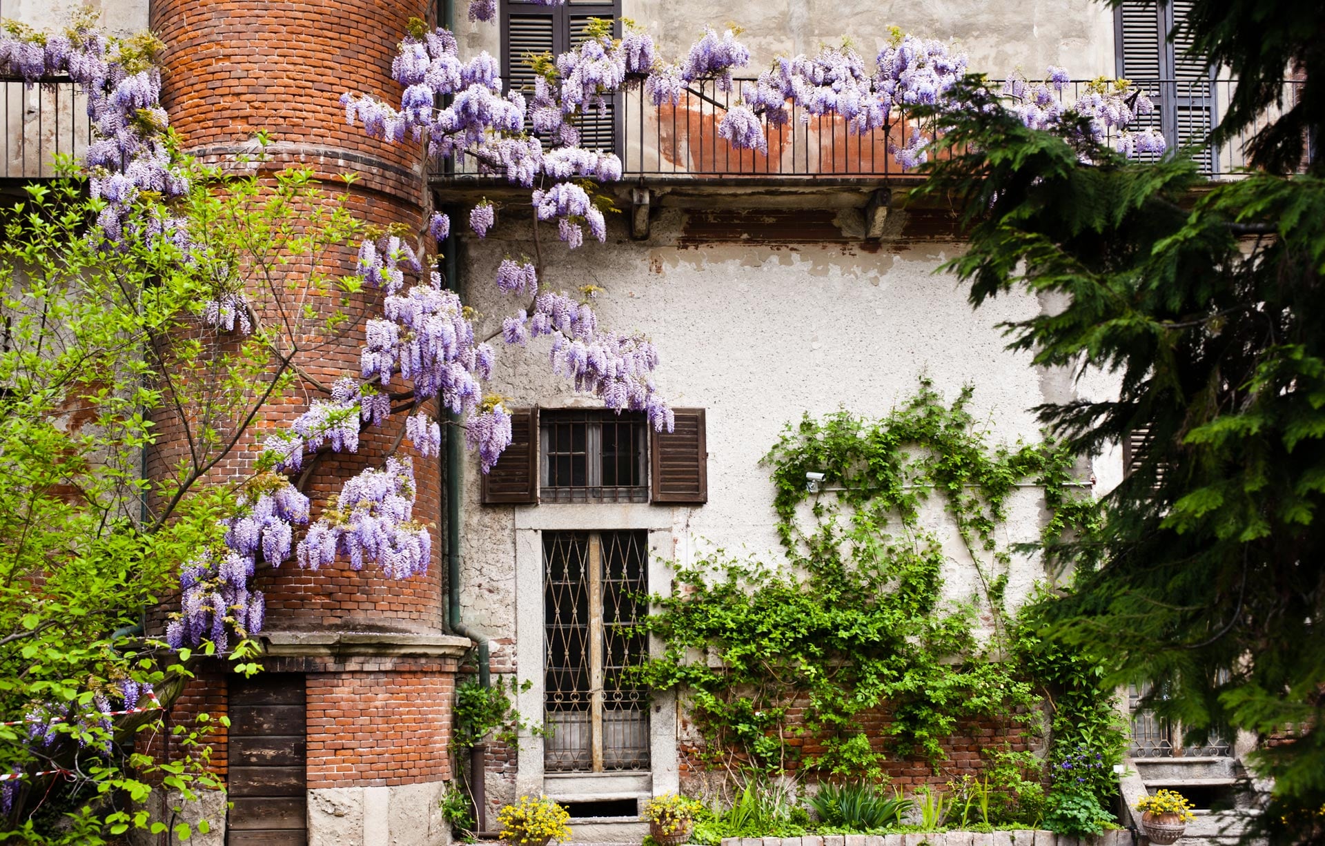 Brera's Botanical Garden