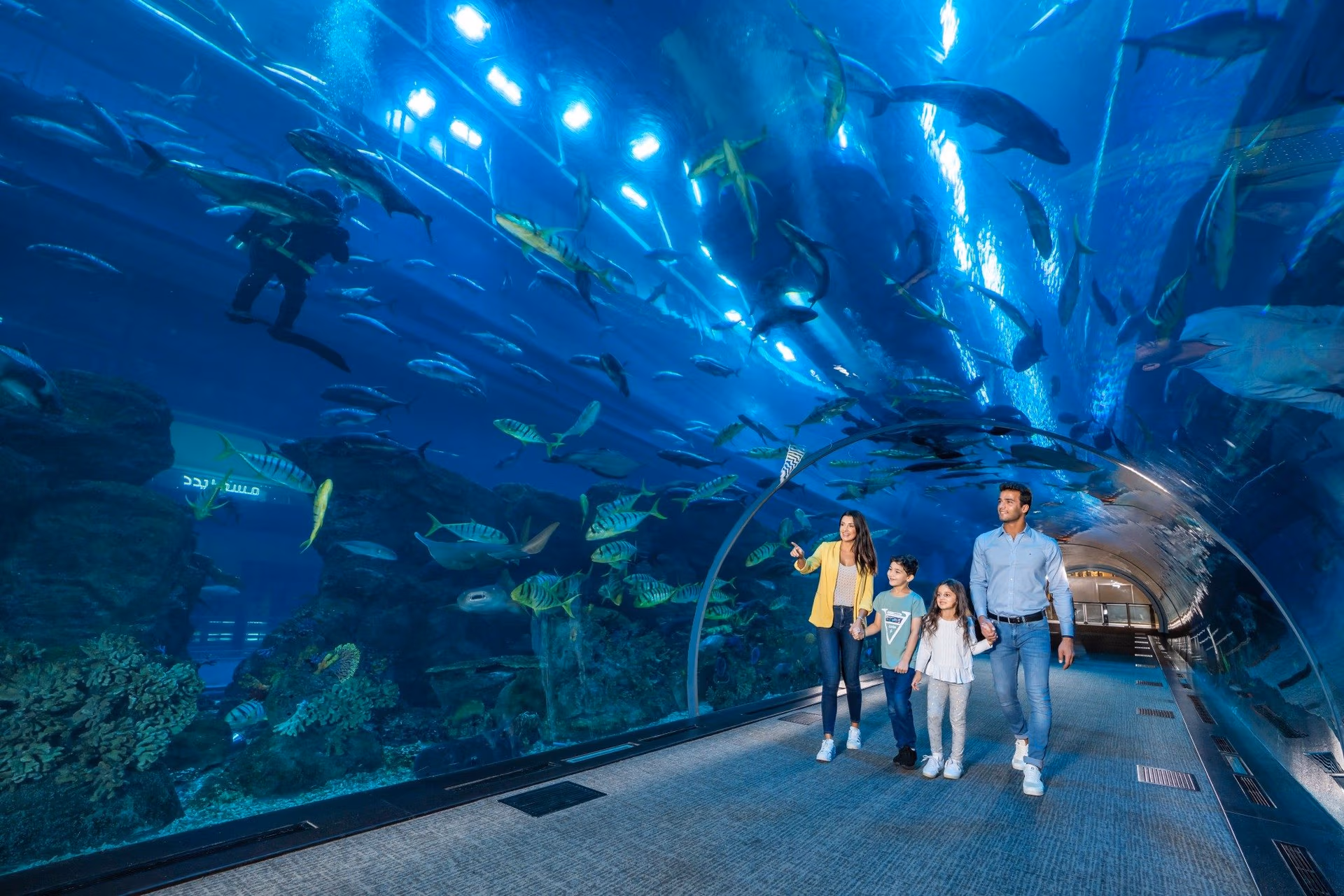 Dubai Aquarium and Underwater Zoo