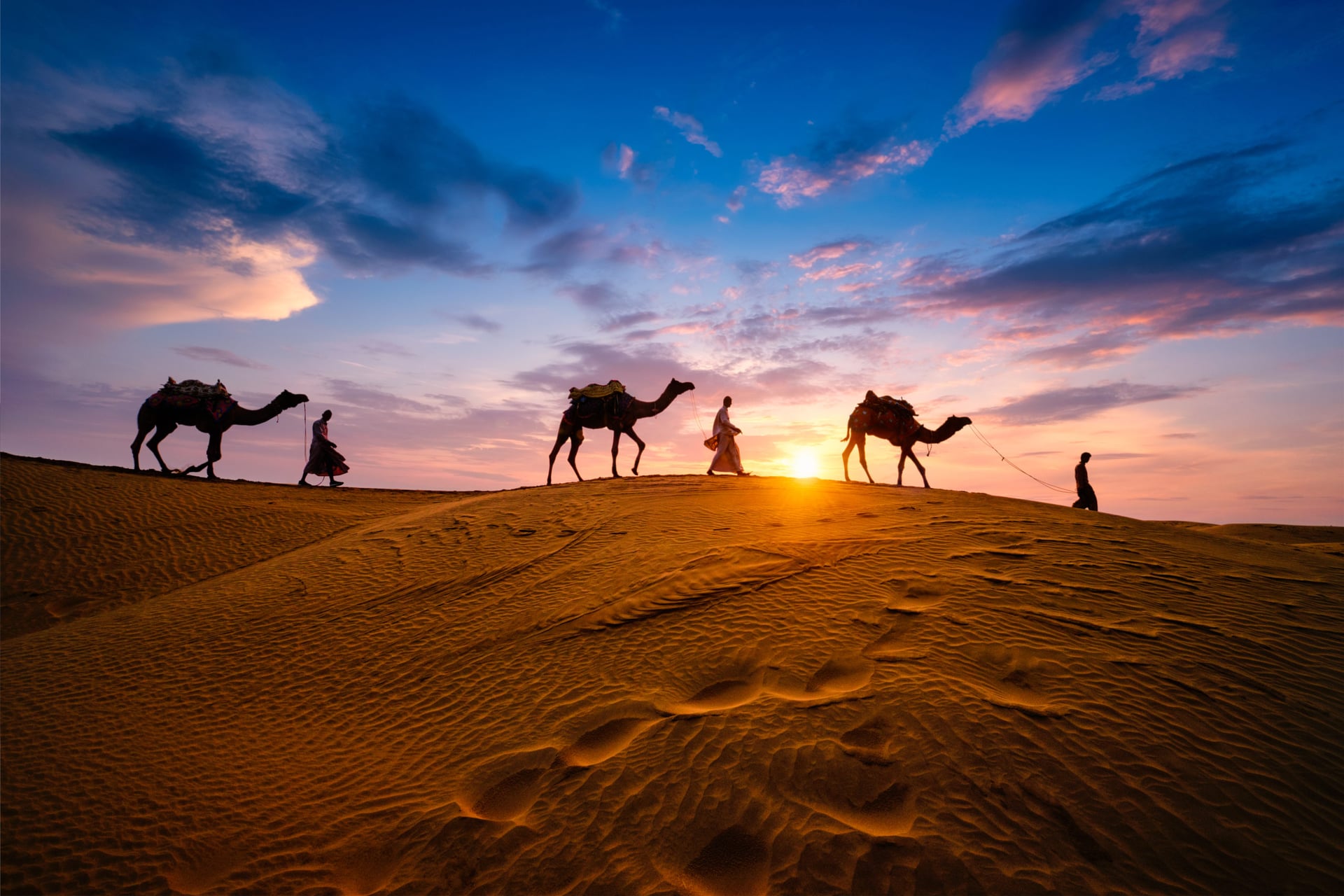 Desert Safaris